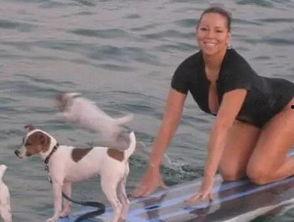 娱乐吃瓜君小狗,揭秘娱乐圈那些不为人知的幕后故事